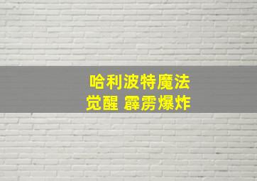 哈利波特魔法觉醒 霹雳爆炸